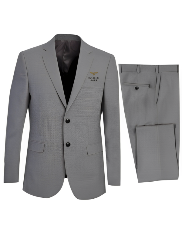 Formal Grey Business Suit